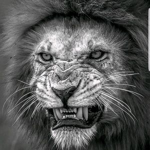 Meet your Posher, Eugene